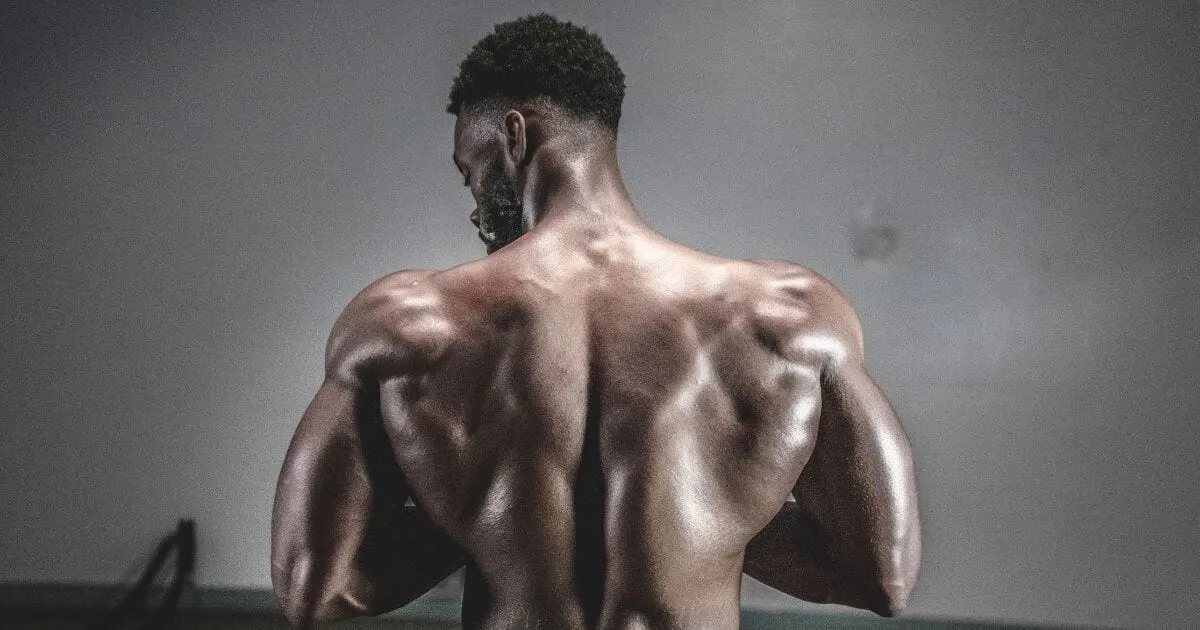 Los Mejores SARMs para el corte y el Aumento de Volumen